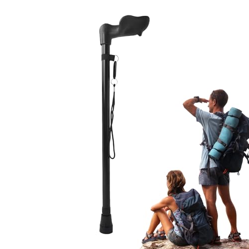 Bastoni da Trekking per Escursionismo,2 Sezioni Regolabili Attrezzatura Da...