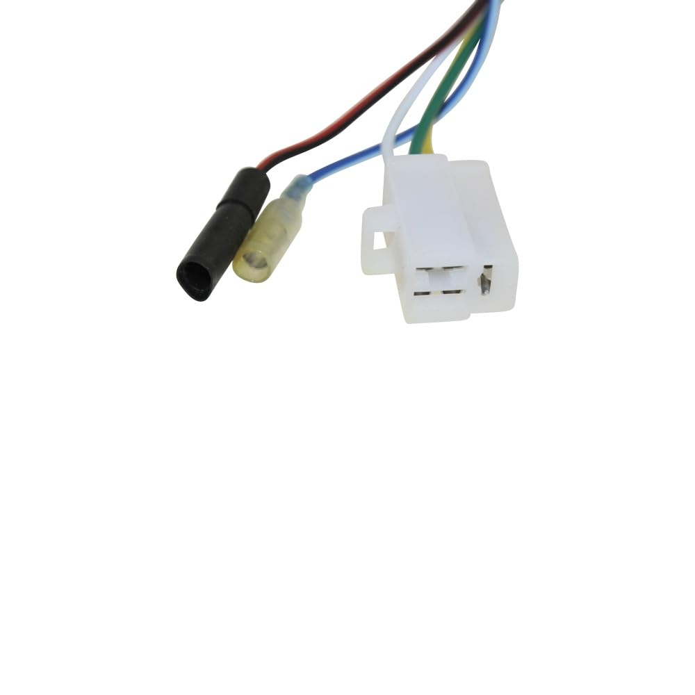 Lichtmaschine und Spannungsregler für 50ccm 4-Takt China Roller, GY6, QMA, QMB Motor