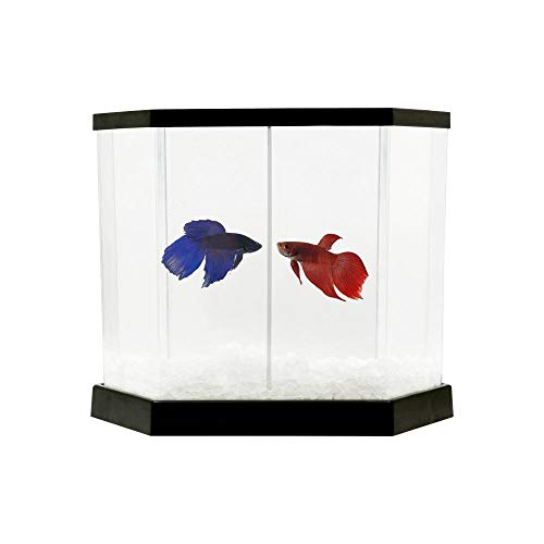 Beteira com Divisória Betta Flex Vigo Ar 5,5l