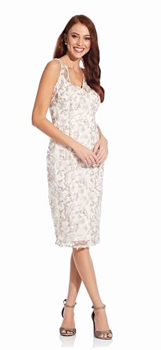 Adrianna Papell Women's Embroidery Sleeveless Dress