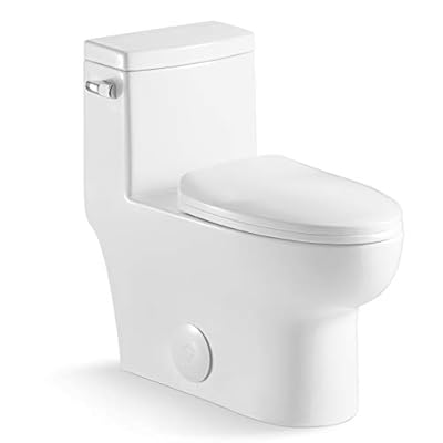 Sarlai One Piece Toilet - Elongated Tall Comfort Height Single Flush White Ceramic Bathroom Toilet with Soft Seat, Concealed Trapway, 12" Rough In, Wax Ring Included