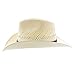 Stetson Santa Fe, Color: Natural, Size: L (TSSTFE-833481L0)