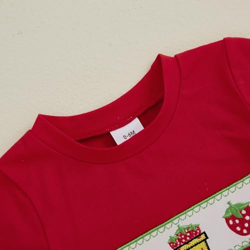 Image of Bonangber Toddler Baby Boy Summer Clothes Fruits Embroidery Short Sleeve T Shirt Plaid Shorts Sets Cute Boys Summer Outfits