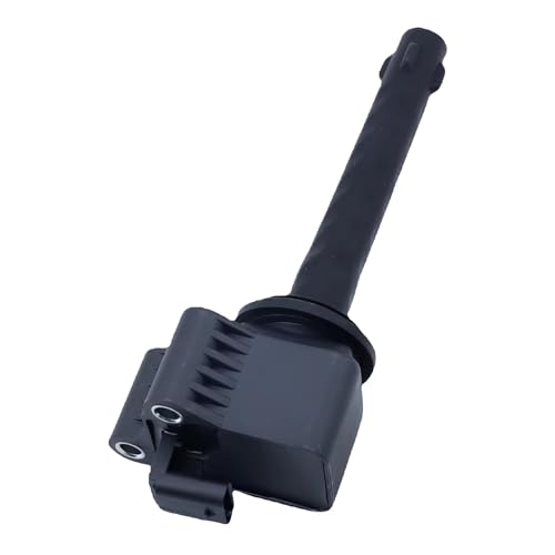 �ԗp�C�O�j�b�V�����R�C���L�b�g Compatible With Buick For SGM For Excelle GT SK1 15T 2017 2018 2019 2020 2021 2022 2023 2024 �Ԃ̓_�΃R�C�� OEM: 241066