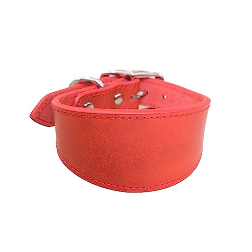 ohodhmnu Leathers - Collar acolchado suave para perros Whippets Salukis Sighthounds, collar ajustable para perros de razas grandes