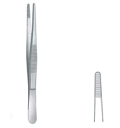 FORGESY Dissecting forceps plain -Stainless Steel -surgical forceps 6 inches (B08PVM1N7H) Amazon Price History, Amazon Price Tracker