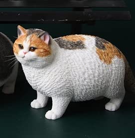 Amazon | [TOYBARJAPAN ]1/6 フィギュア JXK studio JXK064-F Fat Cat