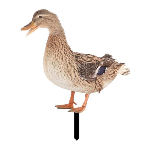 FACAIIO Décoration de jardin en forme de canard en acrylique, statue de cour extérieure pour décoration de jardin, décoration de jardin double face au sol