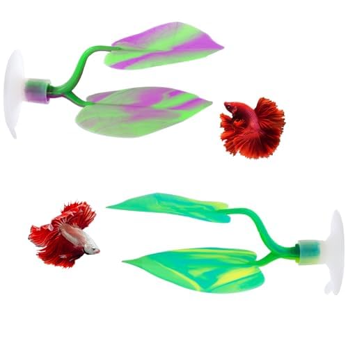 Design speciale: Il supporto per pesci da combattimento è un design strutturale con due foglie, che è più realistico e bello quando posizionato in acqua. Allo stesso tempo, le foglie colorate galleggiano con il flusso dell'acqua, rendendo l'acquario più colorato.