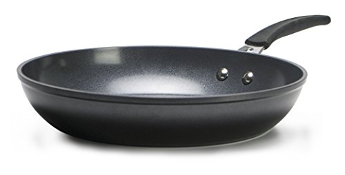 Ecolution Endure 11 Inch Nonstick Fry Pan | Induction Base | Oven Safe, Grey