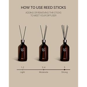 hetras Premium Reed Diffuser Set Large 169 fl oz Essential Oil Fragrance Diffuser with Sticks for Home Office Bathroom Room Decor Hotel Wood Scents Long Lasting House Gift