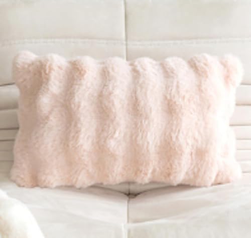 ChoyClit 2ピースの豪華なクッションカバーセット、マイクロファイバーのジッパー付き枕カバーと枕の中身、かわいい、秋冬に最適、暖かい、厚手、ふわふわ、着脱簡単、柔らかい、洗える、防寒、ふわふわ、吸湿発散性、発熱性、お昼寝に最適 (30*50cm枕カバ