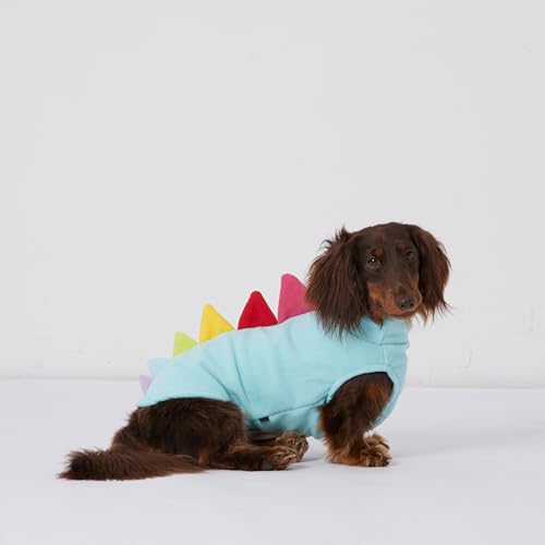 Disfraz contero perro Dinosaurio polar ESCCBOO M azul miniatura 4