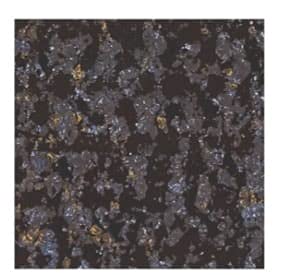 Maheshwari, Black Pearl,vitrified Tiles,ceremic -Glazed vitrified Tile for Floor Tiles,Living Room,Kitchen,washroom(6X6)1cm Thickness,Glossy Finish(Box Contain 2 Tile) (8)
