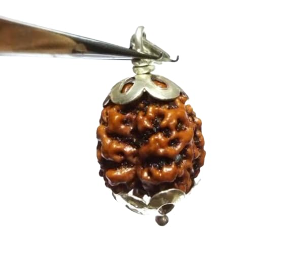 SreeGems Trimukhi Rudraksha Mala with Silver Capping 3 मुखी रुद्राक्ष ब्रह्मा विष्णु महेश 3 Faced Rudraksha Original Certified Nepal Tin Mukhi Rudraksha for Men Women Pendant-image-8