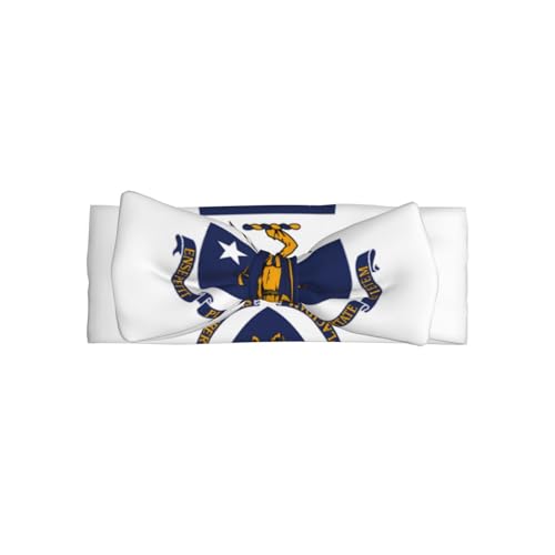 Massachusetts State Flag Baby Bow Headband. Comfortable baby headband, suitable for daily wear and photo props.