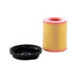 C29010KIT MANN-FILTER AIR FILTER