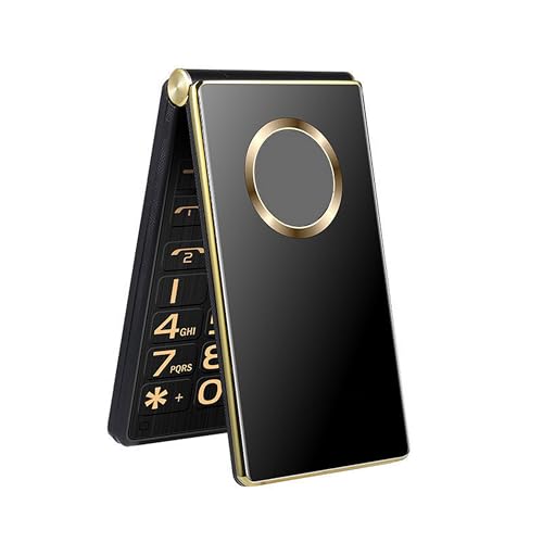 Telefono Cellulare Sbloccato da 2,8 Pollici con Doppia SIM, Batteria