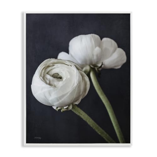 Ranunculus Blossom Floral, 11 x 14 Inch Framed Giclée Print