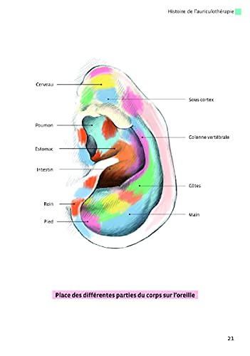 La santé par l'oreille: Comprendre et utiliser l'auriculothérapie