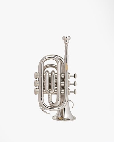 Queen Brass Bb Pocket Trumpet