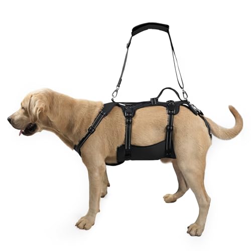 COODEO Dog Lift Harness, Full Body Support & Recovery Sling, Pet Rehabilitation Lifts Vest Adjustable Breathable Straps for Old, Disabled, Joint Injuries, Arthritis, Paralysis Dogs Walk (Black, L)