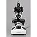 AmScope - 40X-2000X Trinocular Compound Darkfield Microscope with Oil Condenser - T490B-DKO