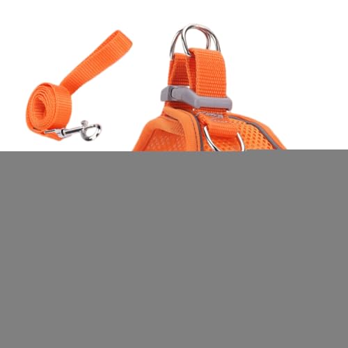 Lbgn[lX - \tgbVxXg ːSXgCvt - ^ ^ ^ ybg xXgJ[ oR Lv AEghAp