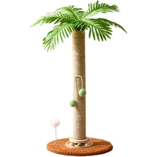 Honey Zone V̖،^ Lp܂Ƃ|[ VRTCU[v c^LbgXNb`[ L̉^EXgX Ή  gȒP RRibc̖ NVbN (RRibcc[ [^[e[u])