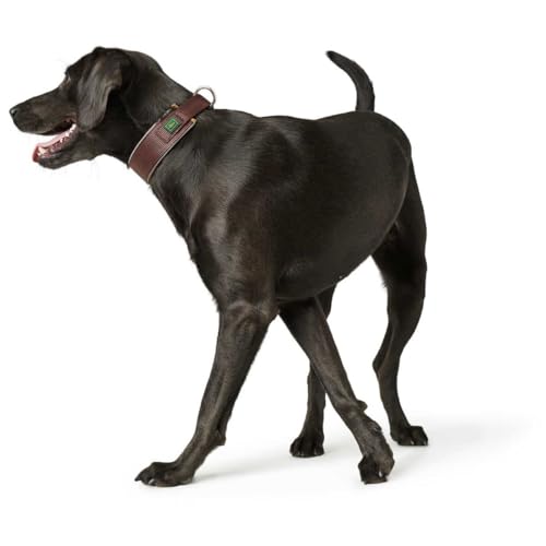 HUNTER Hundehalsband NEOPREN Reflect, Farbe: braun/Caramel, weiche Polsterung, reflektierend, besonders breit für optimalen, ideal für Spaziergänge in der Dämmerung, Größe: 45