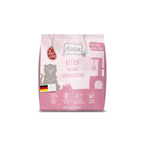 MjAMjAM - Premium Trockenfutter für Katzen - Knusprige Mahlzeiten - Kitten - Frisches Geflügelfleisch 1er Pack (1x300g) getreidefrei