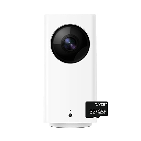 Keep an Eye on Your Furry Friend with Reliable Pet Cameras!