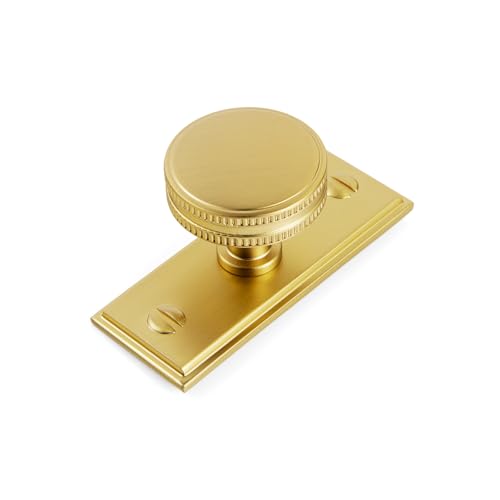 Goo-Ki 6 Pack Cabinet Knobs Brushed Gold Drawer Knobs with Backplate Zinc Alloy Kitchen Hardware - Single Hole/Screw Bar Cabinet Pulls Dresser Handles with Spacer