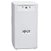 Tripp Lite BCPERS300 UPS (External) - AC 120 V - 175 Watt - 300 VA - 3 Output Connector(s) - Canada, United States (880859) Category: UPS Batteries