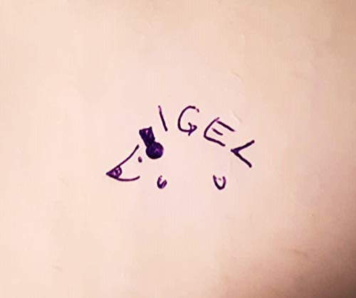 IGEL - Im Garten mit Eva und Lisi cover art