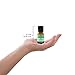 Plantlife Pine Aromatherapy Essential Oil - Straight from The Plant 100% Pure Therapeutic Grade - No Additives or Fillers - 10 ml