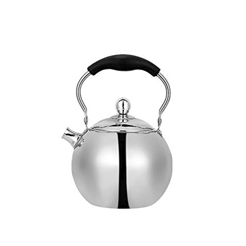 Théière inox fond plat épaissi pour une infusion parfaite du thé en fleur