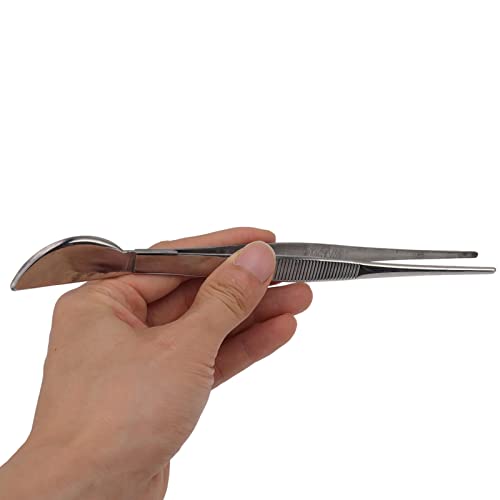 Gavigain Stainl Steel Bonsai Tweezers,Rust Proof Bonsai Tools for Loosening Soil,Resistant Bonsai Accessories with Smoothing Surfaces,Long Tweezers with Spatula Head for Potted Planin(Straight)