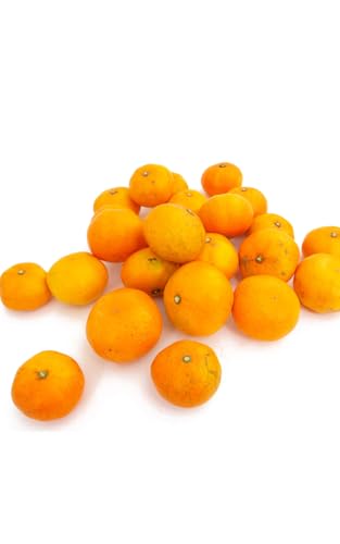 ���k �݂��� 5kg�O�� ���_��͔|