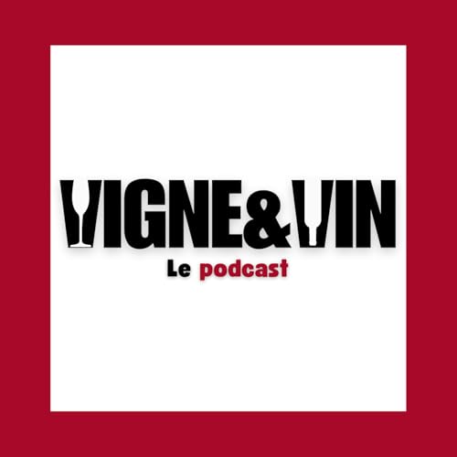 Vigne&Vin cover art