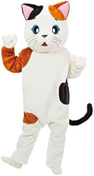 31zZHMdfpJL._AC_UF350,