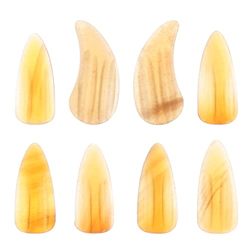 BIUDECO ⶗KpB 8{pbN 炩ȕ\ʂƊۂpŎwی