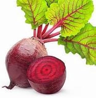 Freeze Dried Organic Beet Powder – Non-GMO – Made in USA