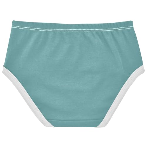 Joisal Cotton Toddler Girls Underwear Cadet Blue Panties for Girl Bright Briefs Girls Undies 2t2