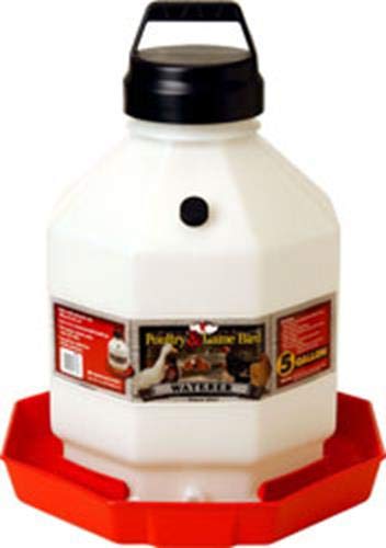 Complete Plastic Poultry Fount | Heavy Duty Plastic Gravity Fed Water Container Jar Waterer Chickens Turkeys Ducks Made Usa 1 Gallon Red - View #3