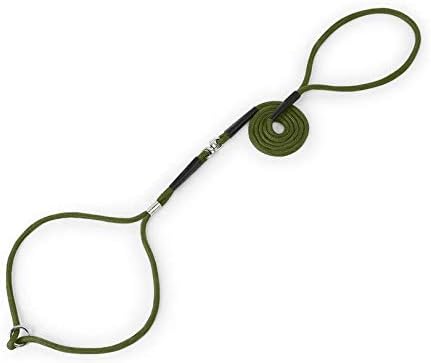 Wellbro Nylon Slip Dog Leash, Slim and Soft Slip Lead, Nylon Pet Leashes with Adjustable Loop and Swivel Coupler, Suitable for Puppies,…