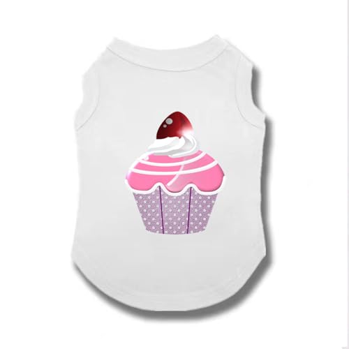 [XANPYO] ybg ̕ TVc  ^Ngbv tėp ybgEFA hbOEFA xXg pW} L lC   t@bV ^ L ʋC ₩ U XS