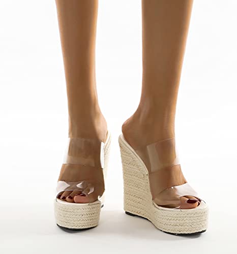 LizFoYa Women Peep Toe Espadrille Platform Heels Lucite Double Straps Wedge High Heels Beach Slide Sandal Shoes4