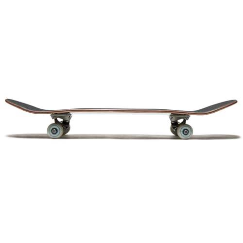 Image of [CCS] Skateboard Complete | Maple Wood | Professional Grade | Fully Assembled with Skate Tool & Stickers | Adults, Kids, Teens, Youth | Boys & Girls