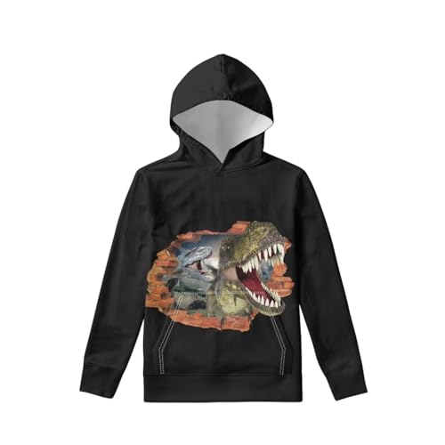 Kids Hoodie 3D Dinosaur Graphic Sweater with Pocket for Boys Girls 6-16 Years